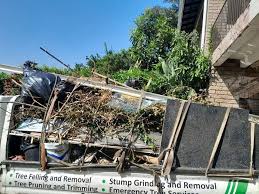 Demolition Debris Removal in Donaldsonville, LA